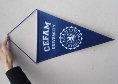 pennant without cord and wooden balls